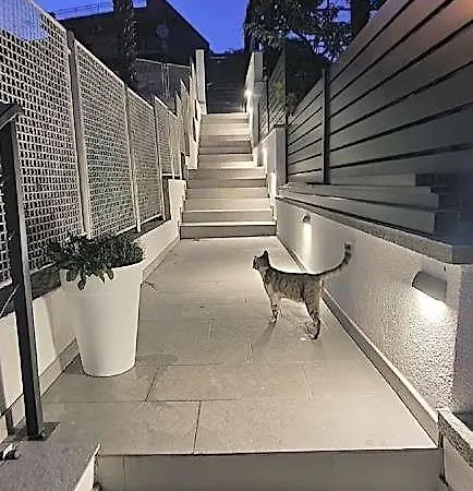 Urban Oasis - Private Fenced Garden With Bbq Area
